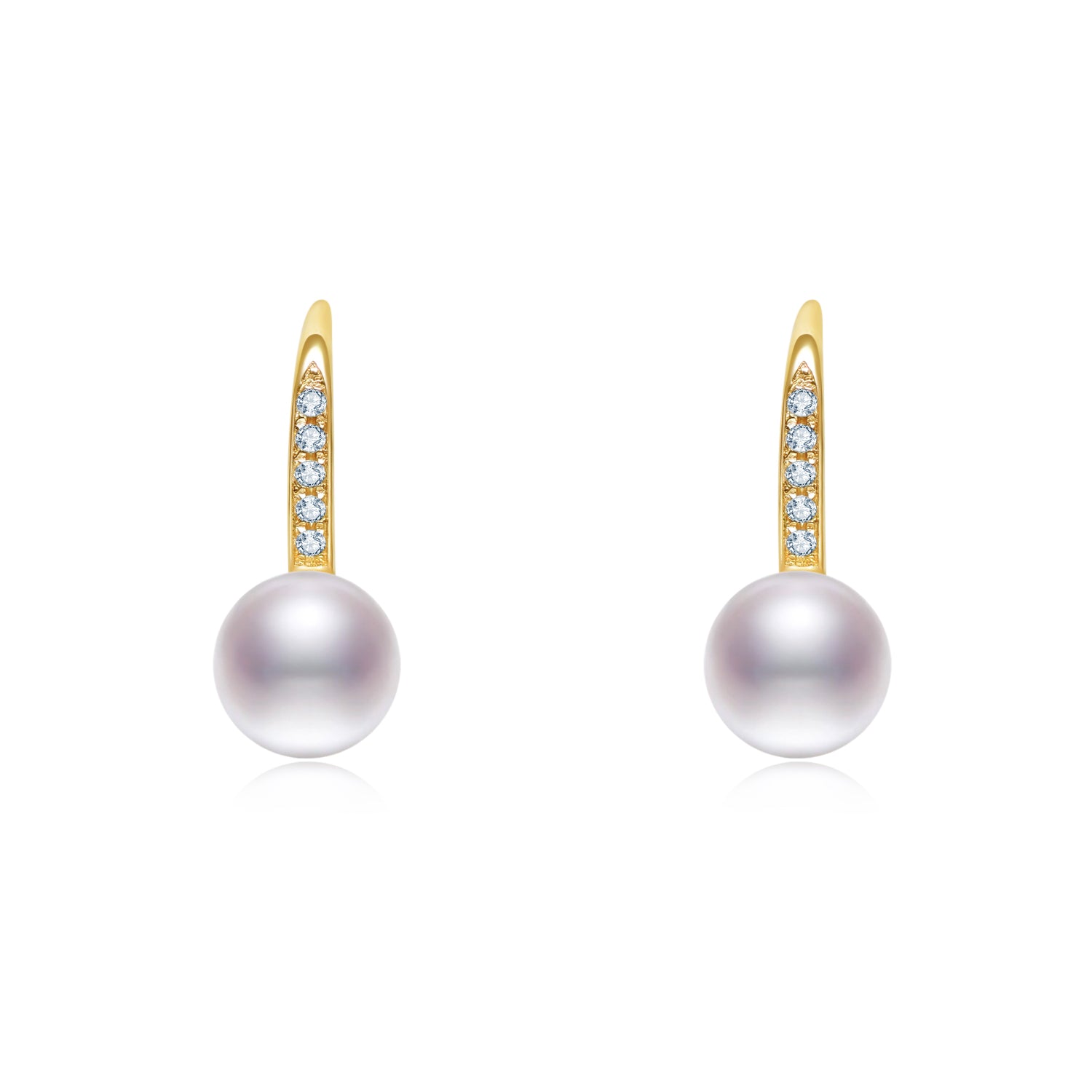 Graceful Hook Earring ER026