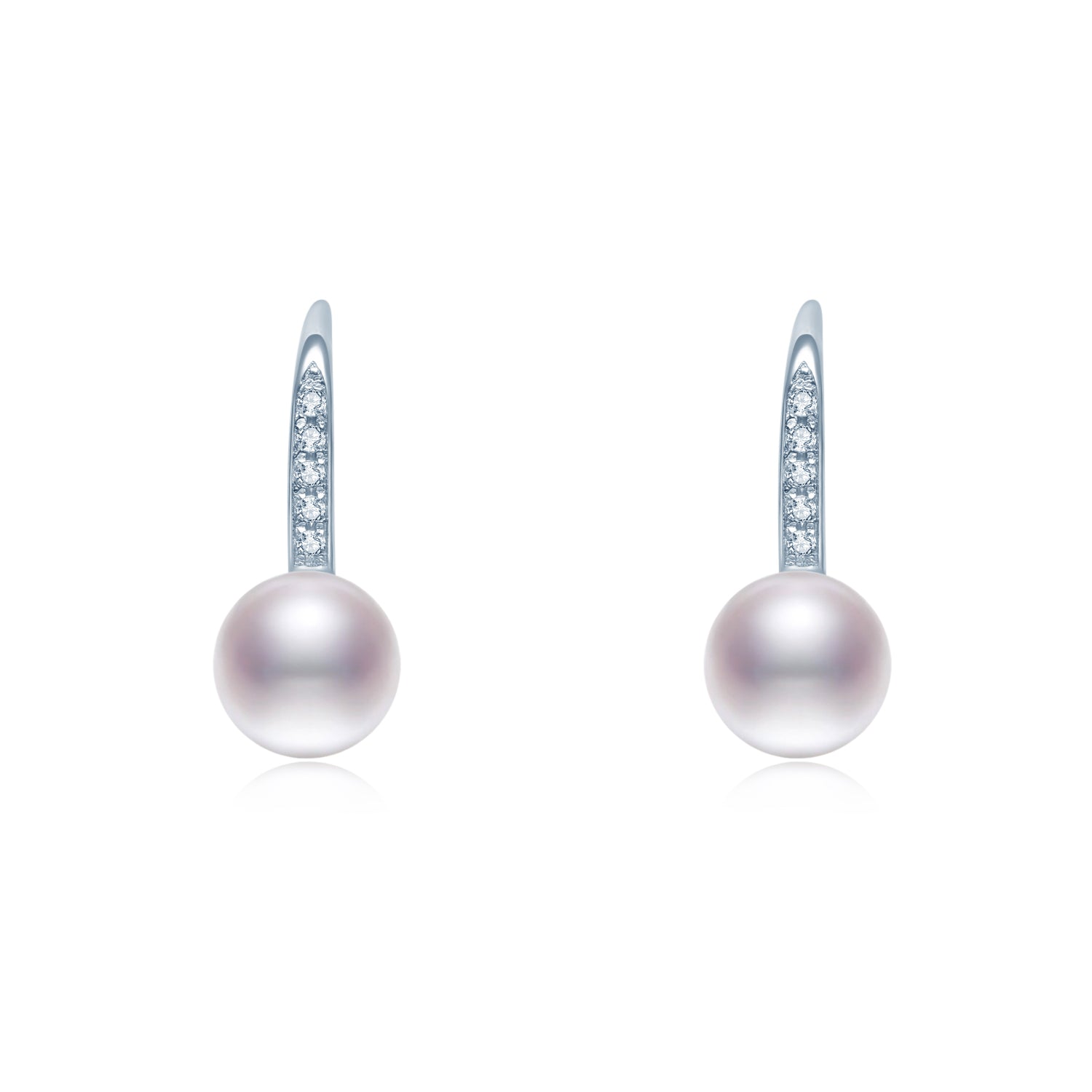 Graceful Hook Earring ER026