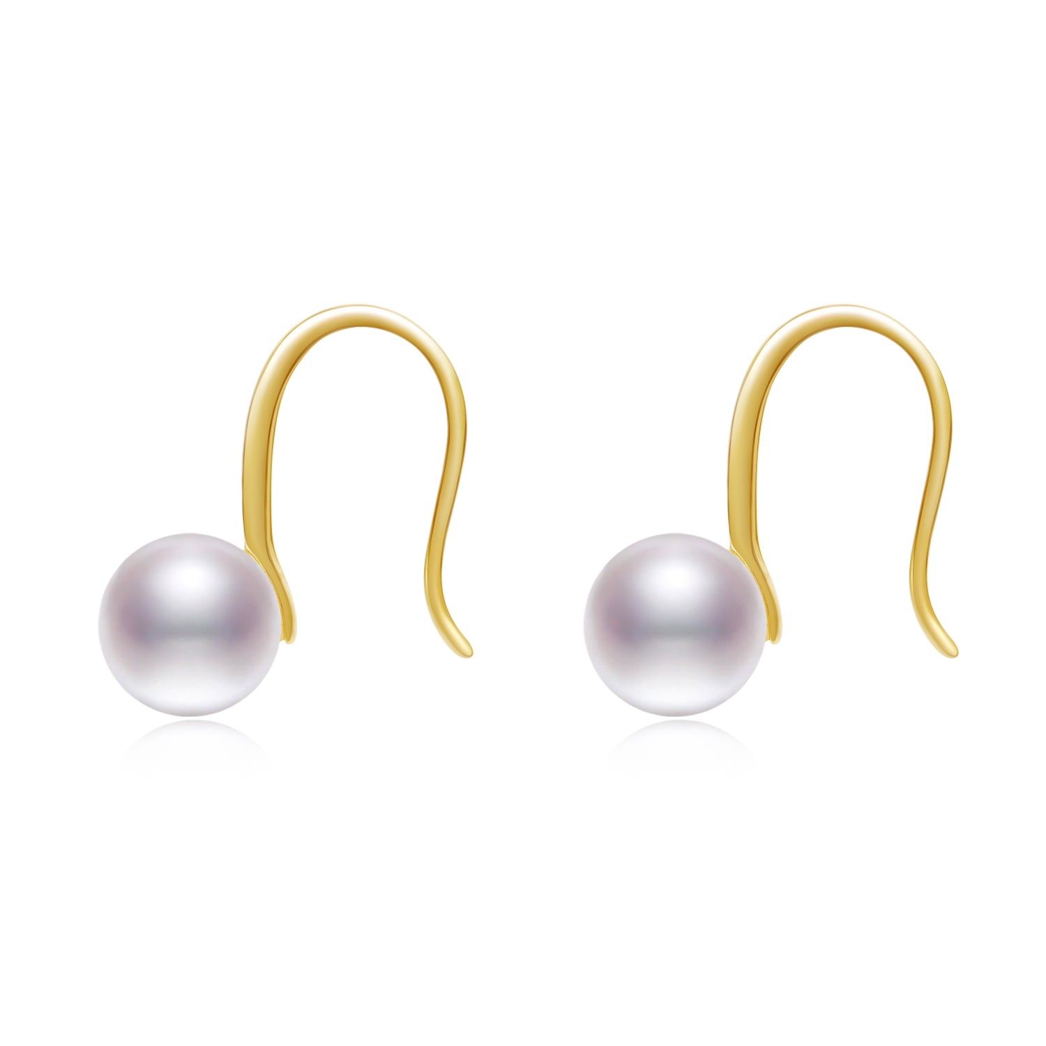 Graceful Hook Earring ER026