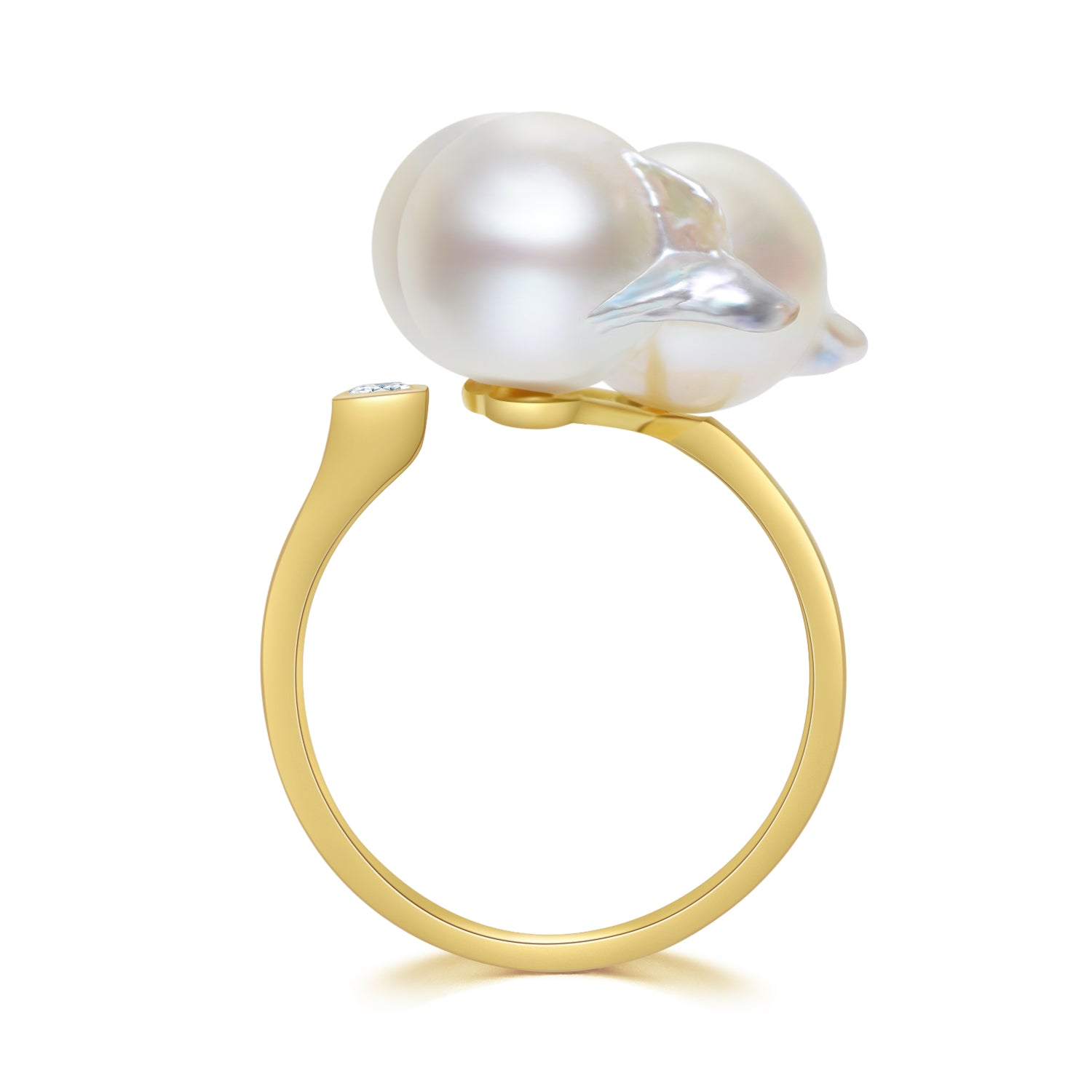 Dragon Claw Ring RI014