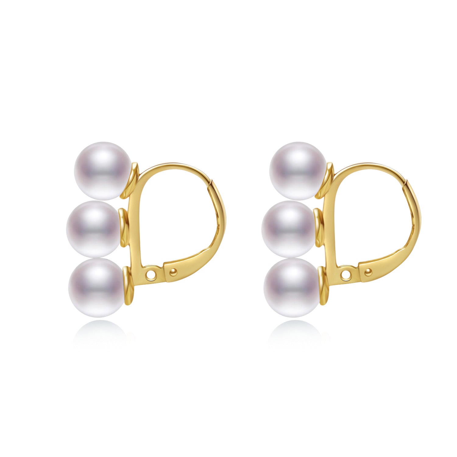 Eternal Love Earrings ER007