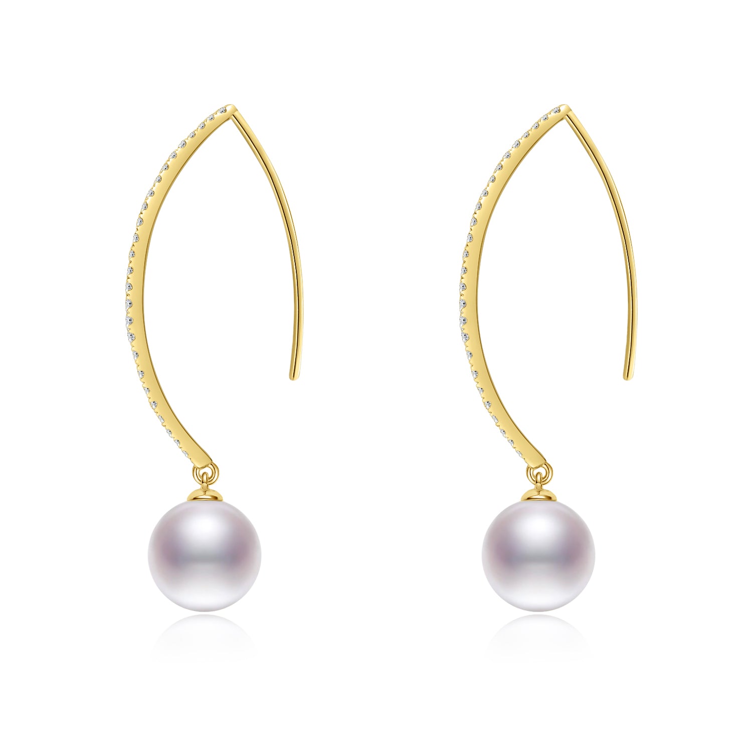 Hook Earrings ER013