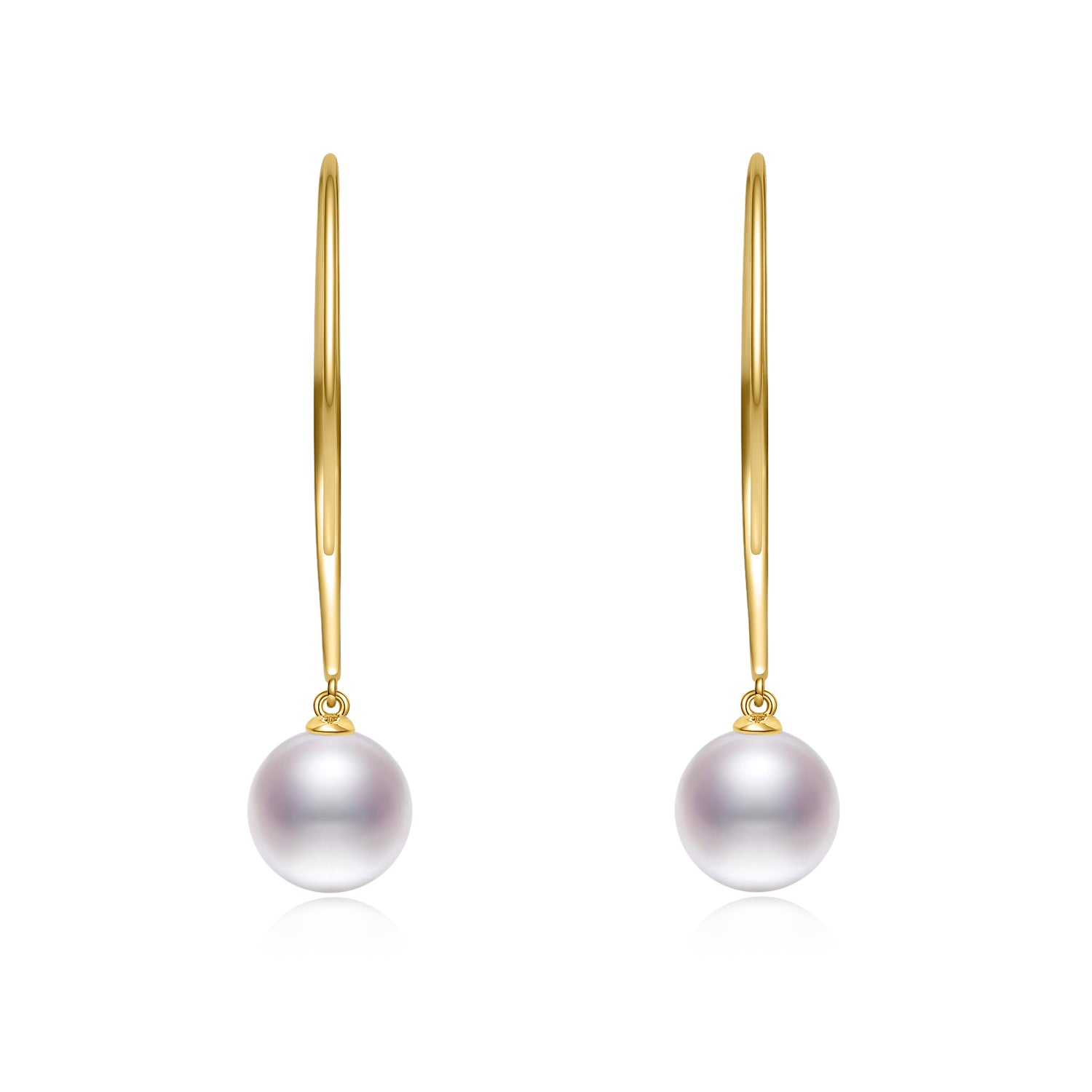 Hook Earrings ER013