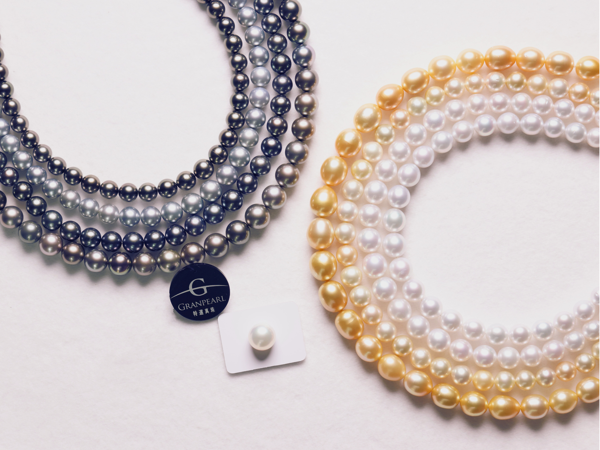 アコヤ・南洋（白蝶）・タヒチ（黒蝶）・淡水の違いを3分で｜用途・サイズ・価格の早見表