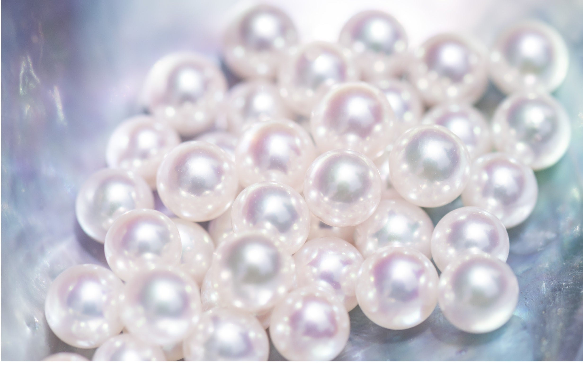 日本の真珠が世界で愛される理由 — “Made in Japan”が誇るアコヤの美
