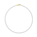 Akoya Rose NE026