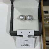 PSN-0095 No.21252