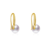 Graceful Hook  Earrings ER026