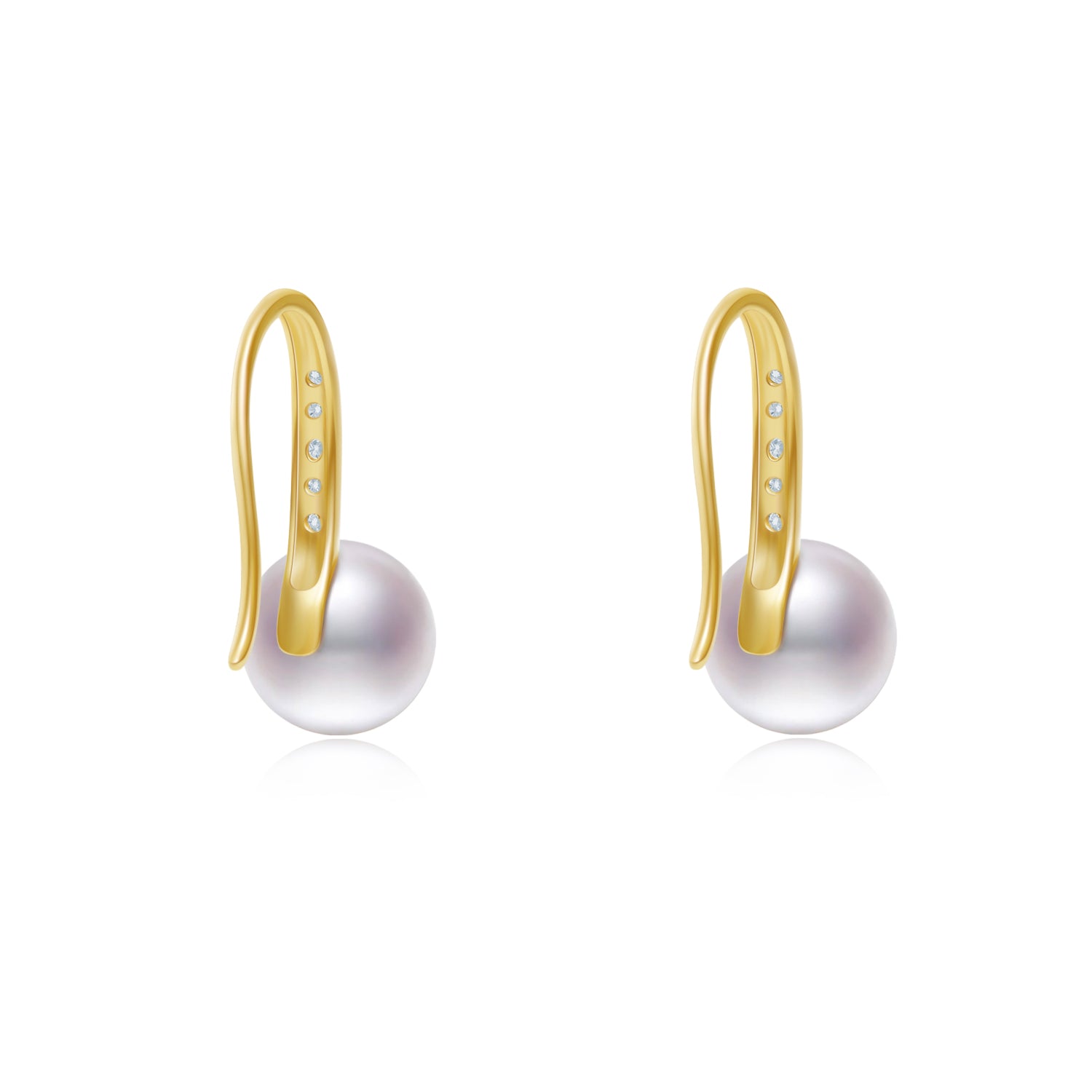 Graceful Hook  Earring ER026