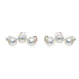 Dragon Claw Earrings ER027