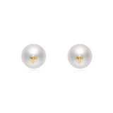 Freshwater Pearl Earrings ER028