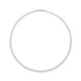 Akoya Necklace NE022
