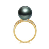 Mobius Ring 黒蝶 RI010