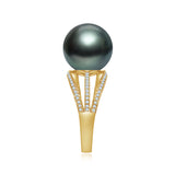 Mobius Ring 黒蝶 RI010